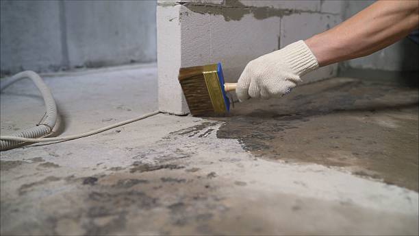 24/7 Emergency Interior Drainage System experts in Lake Bluff, IL